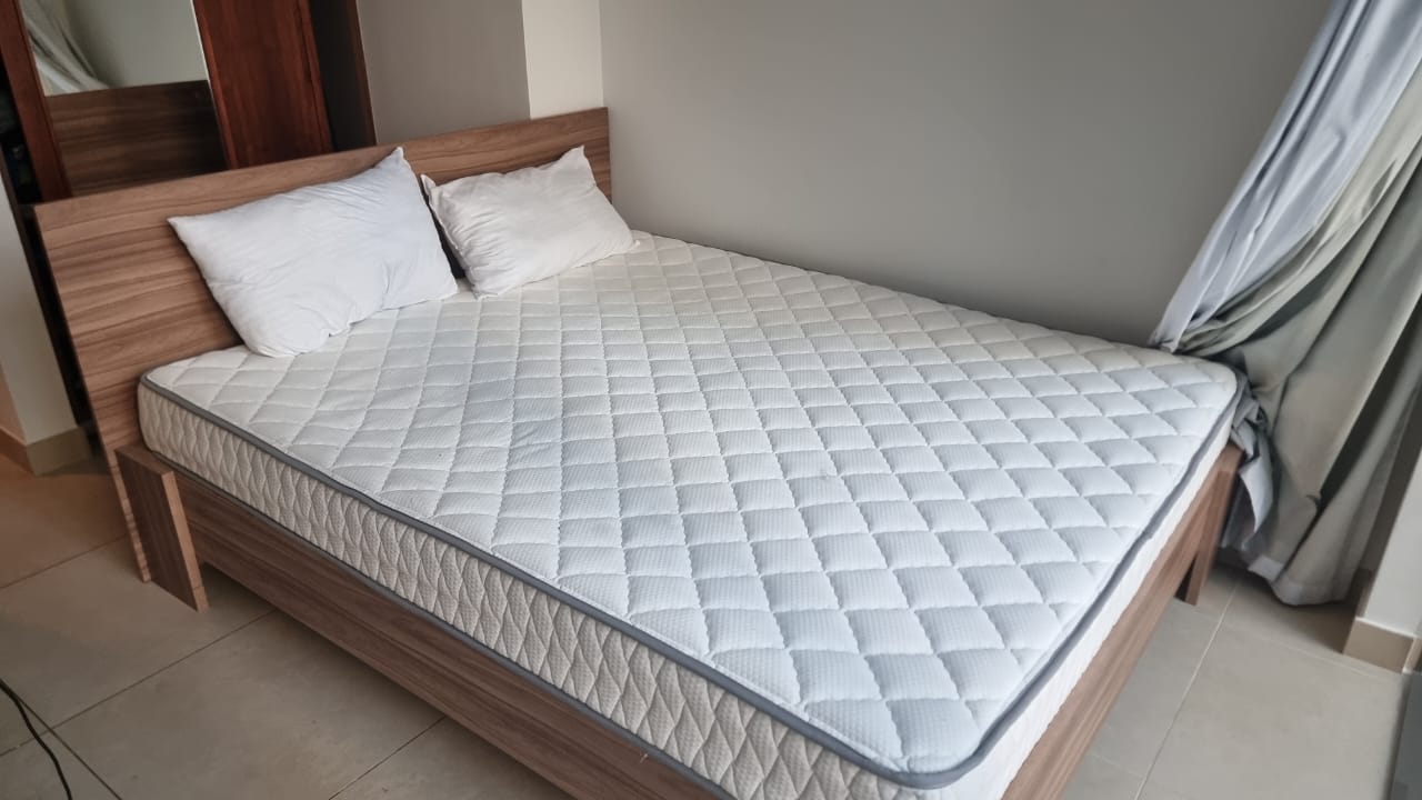 Pan Home Queen size bed with mattress