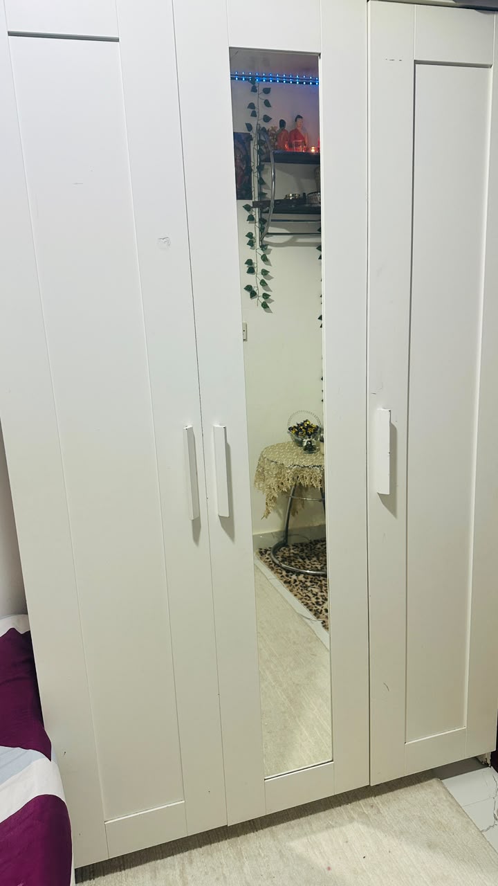 Wardrobe interior - shelving section